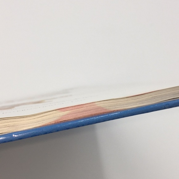 2 Ty Beanie Babies Plush Stuffed Toys Collector’s Guides Books Toy Vintage - Picture 12 of 15